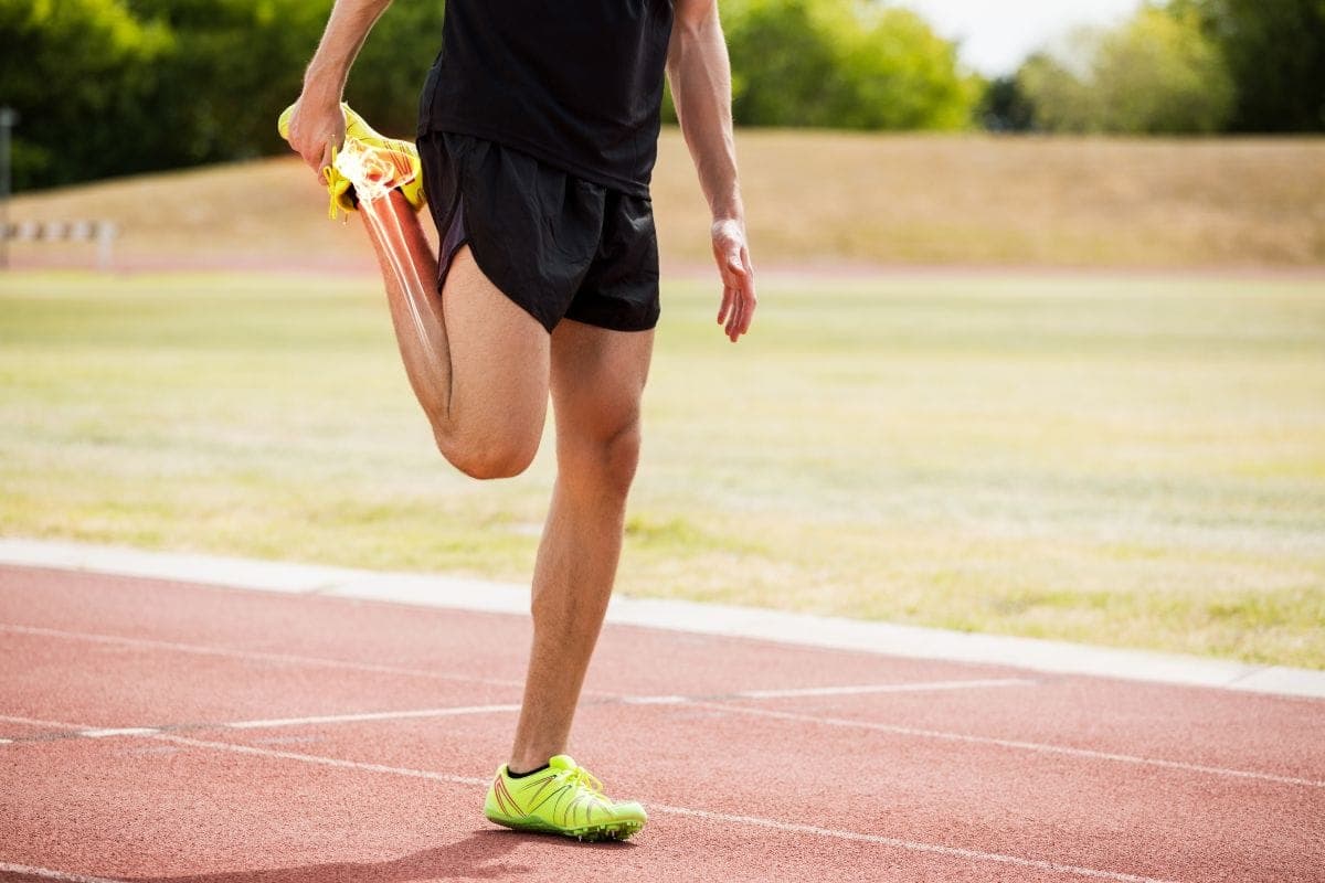 Peptides for Tendon Repair
