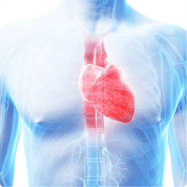 Your Heart Stays Protected Long-Term