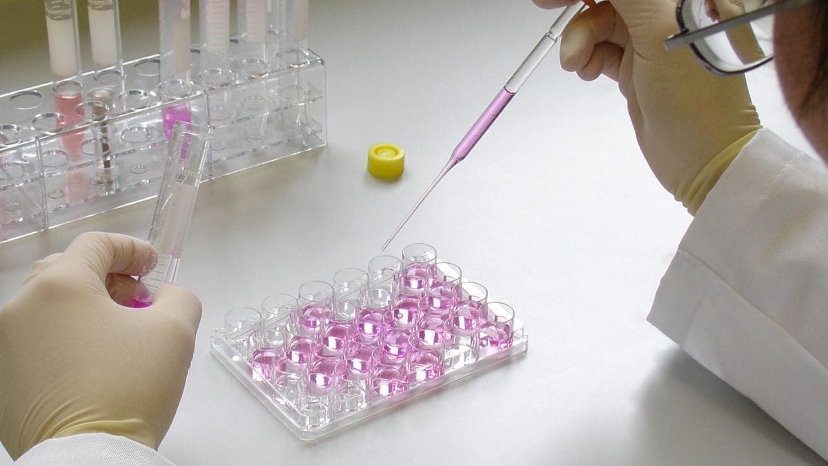 Research Peptides