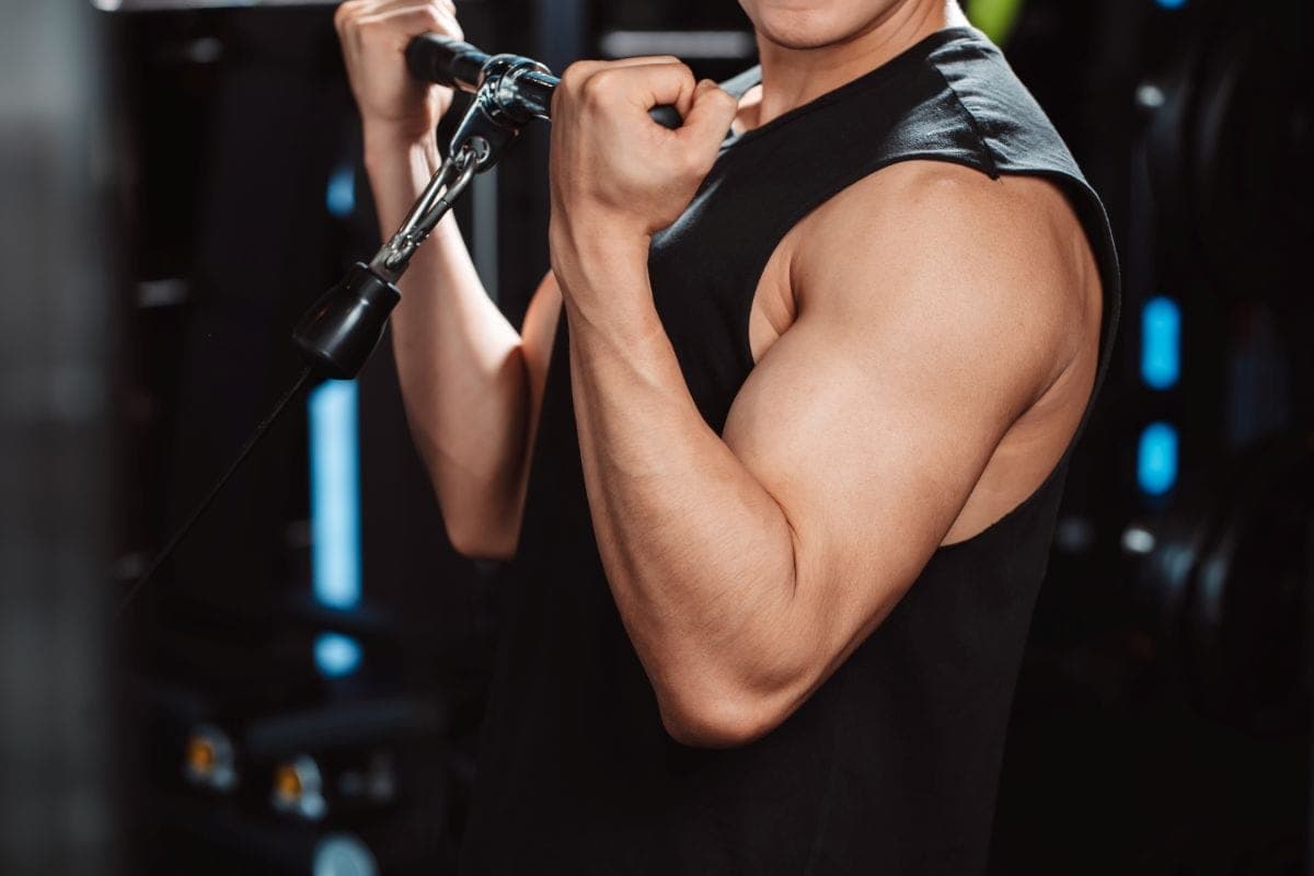 Testosterone Health