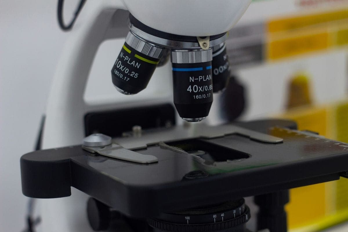 Bioavailability Technology