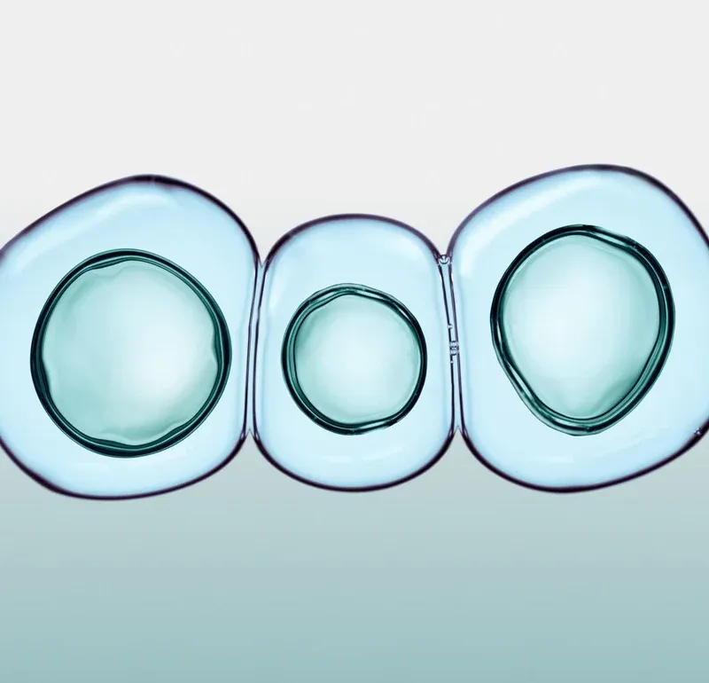 cells