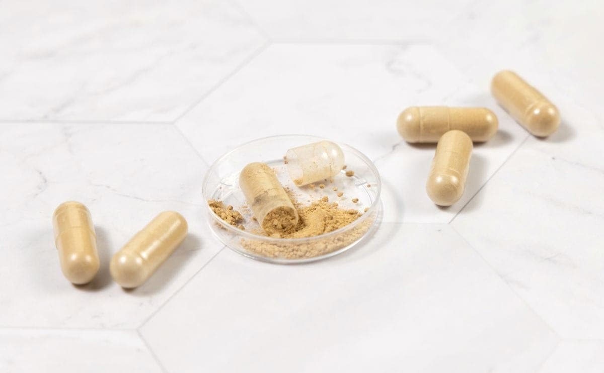 Lactoferrin