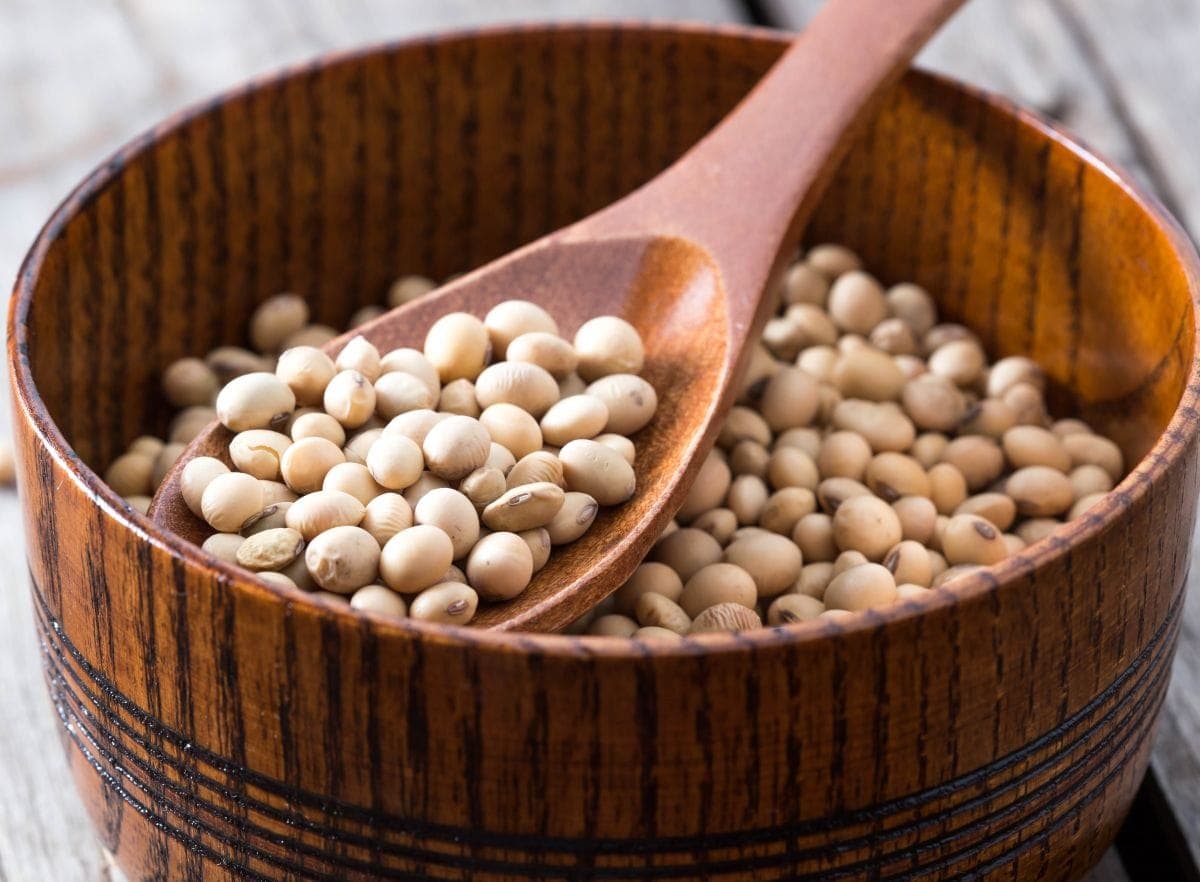 Natto